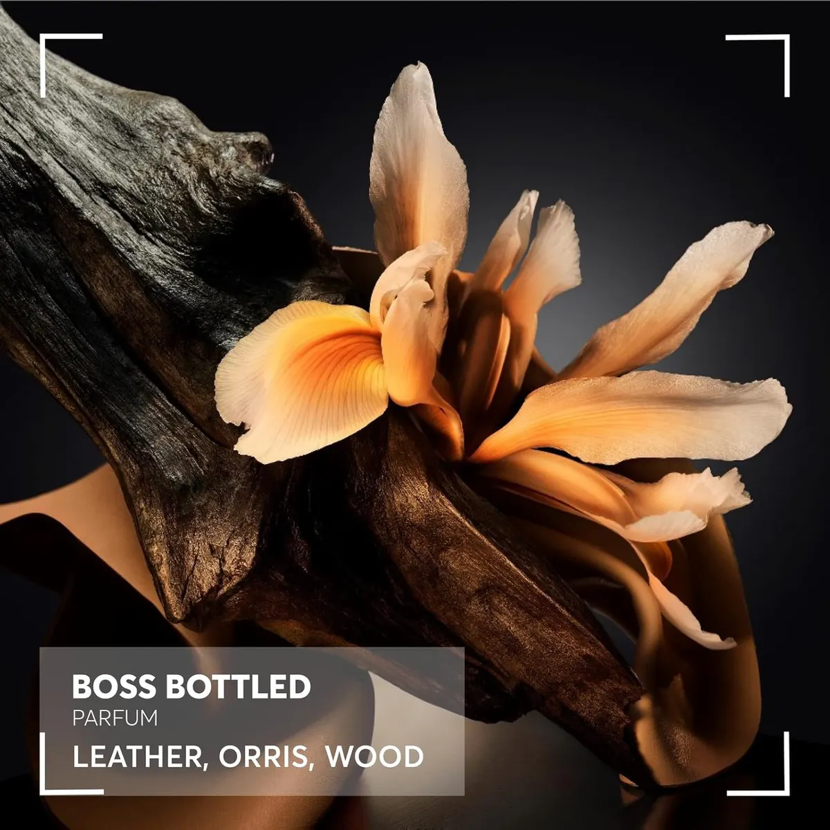 Hugo Boss Boss Bottled Parfum 100ML, view 4