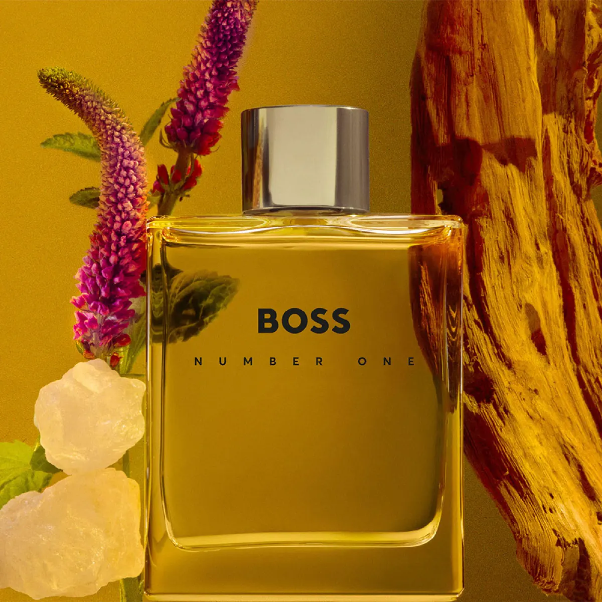 Hugo Boss Boss Number One EDT 100ML, view 3