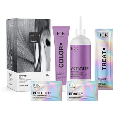 IGK Permanent Color Kit Titanium - Pure Cool Gray