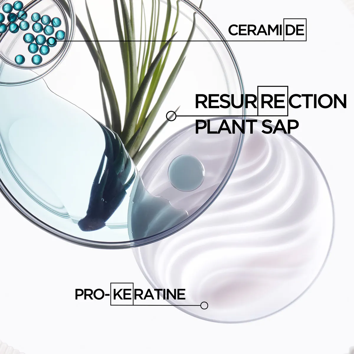 Kérastase Resistance Strengthening Anti-Breakage Conditioner for Damaged Hair 200ml, view 6