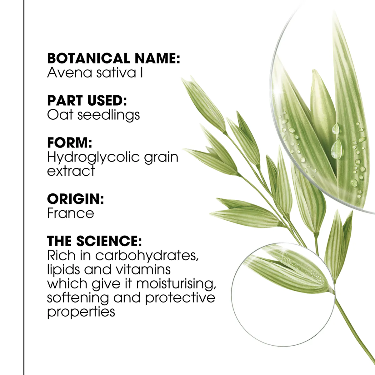 Klorane Ultra-Gentle Tinted Dry Shampoo With Oat and Ceramide Like 250ml, view 8