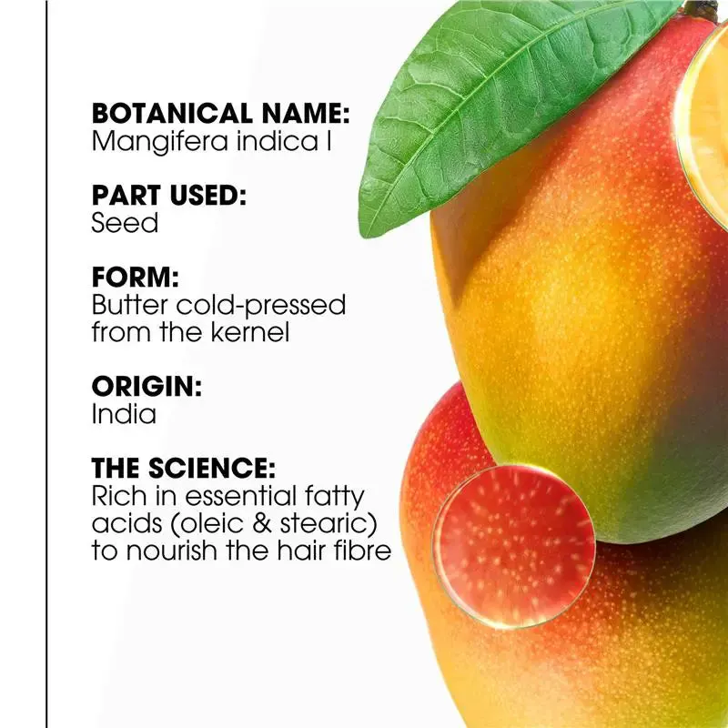 Klorane Nourishing Shampoo With Mango Butter 400ml - Dry Hair, view 4