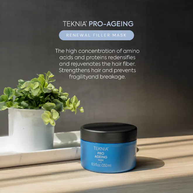 Lakme Teknia Pro Ageing Mask 250ml, view 2