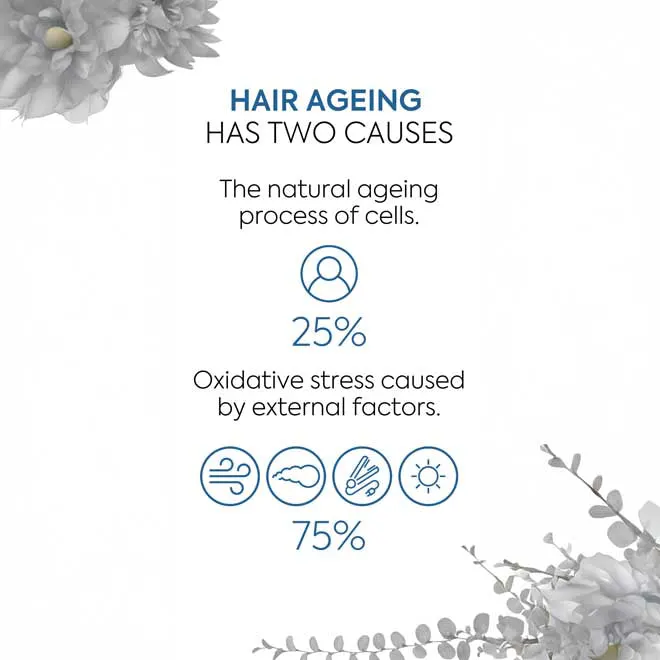 Lakme Teknia Pro Ageing Mask 250ml, view 4