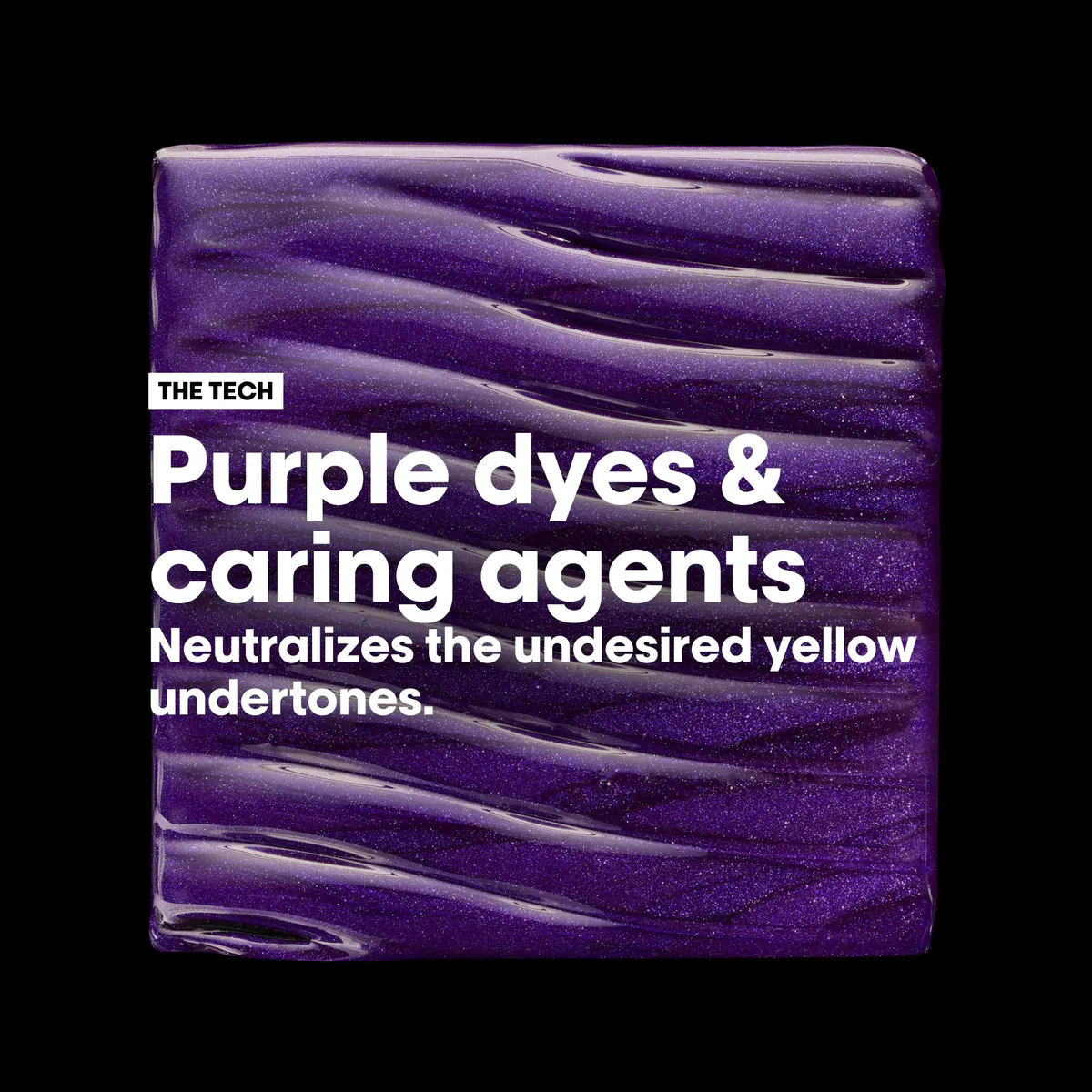 L'Oreal Professionnel Color Spectrum Purple Shampoo and Conditioner Duo Bundle, view 6