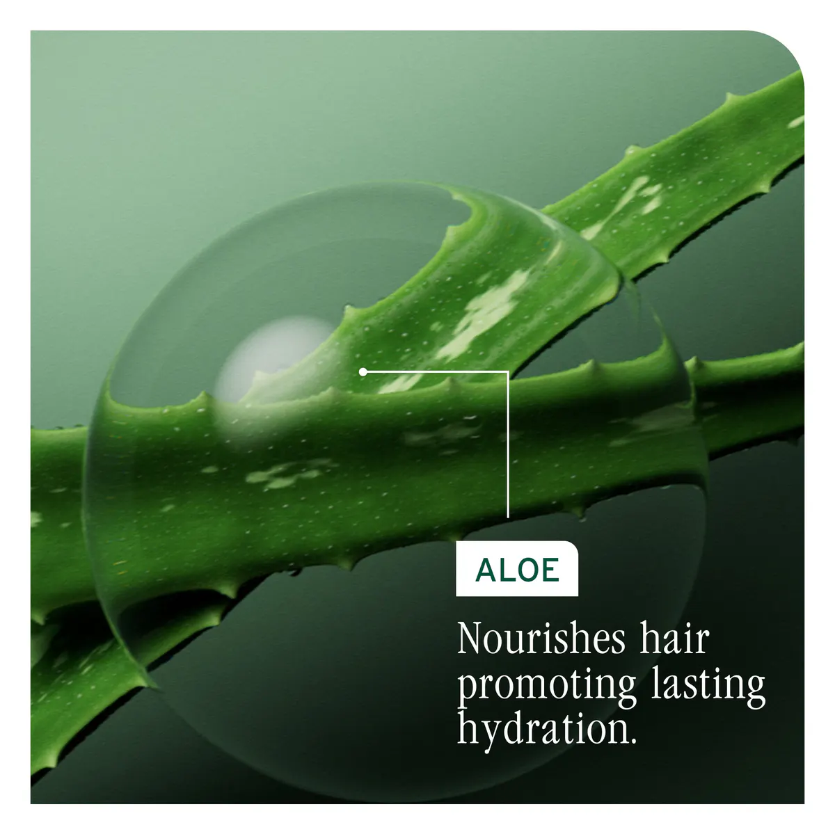 Biolage Hydrasource Deep Treatment Pack 100ml, view 3