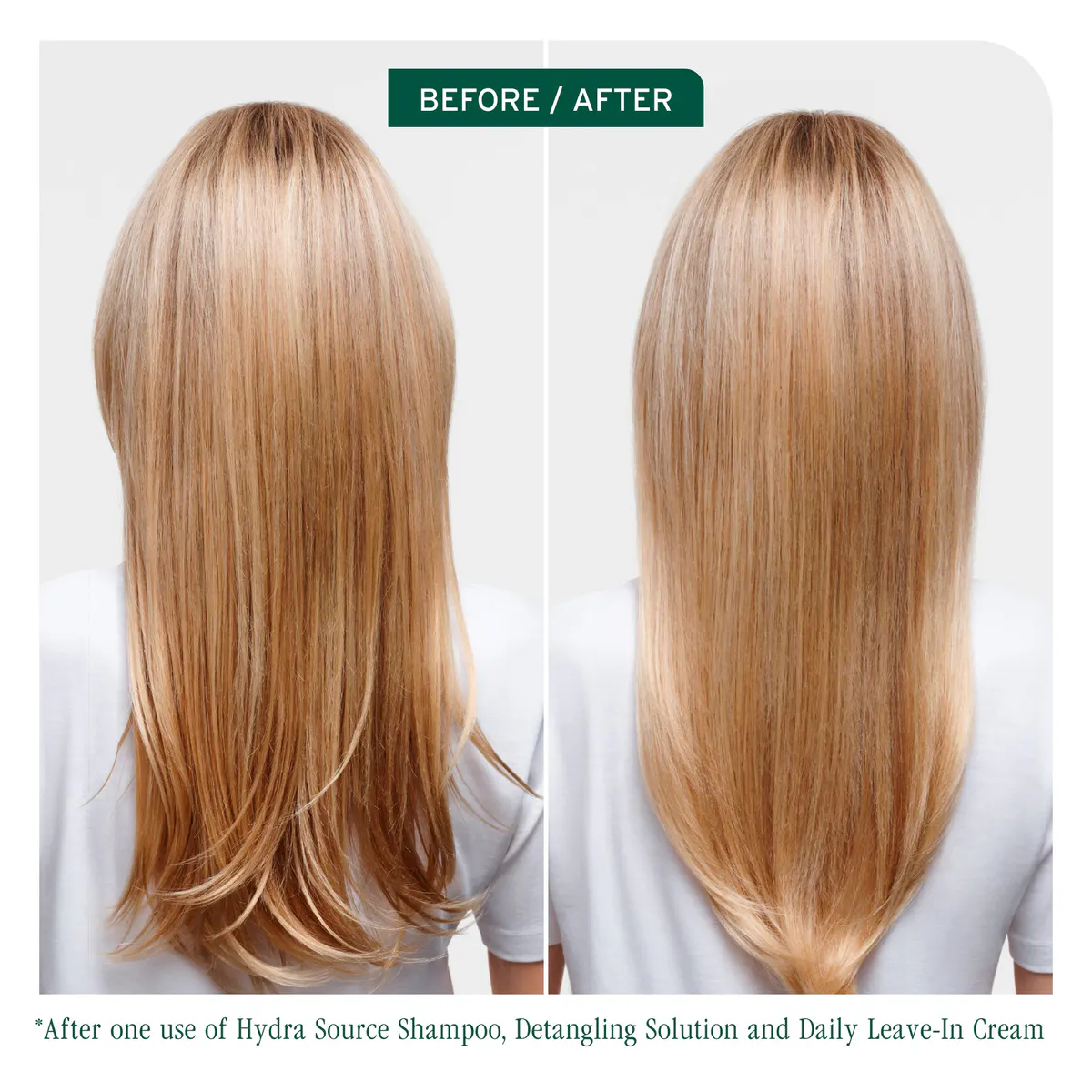 Biolage Hydrasource Detangling Solution 400ml, view 2
