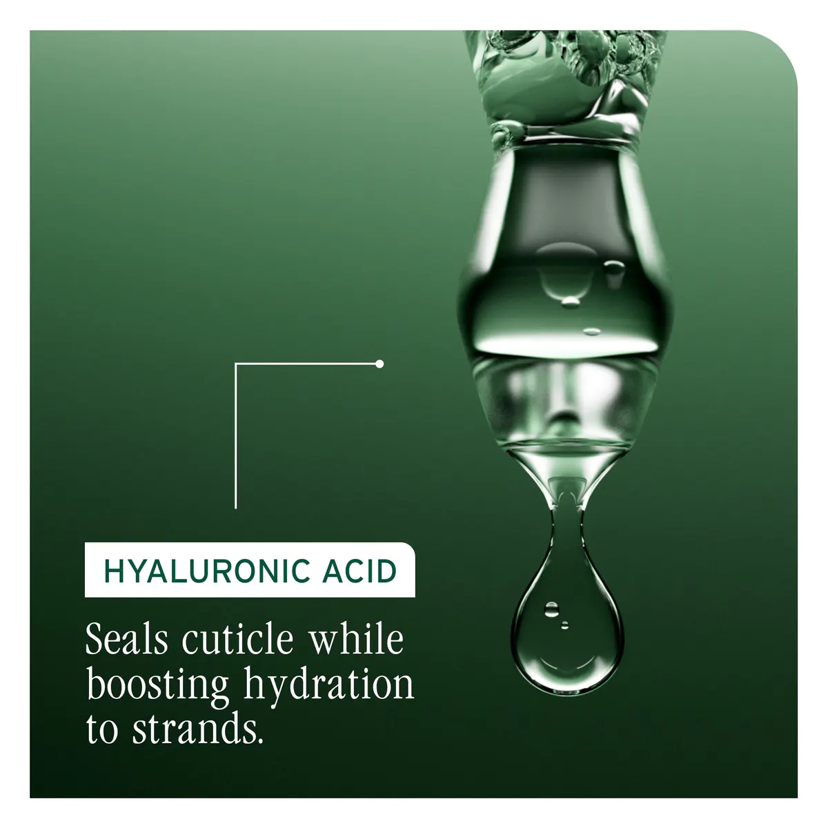 Biolage Hydrasource Detangling Solution 400ml, view 8