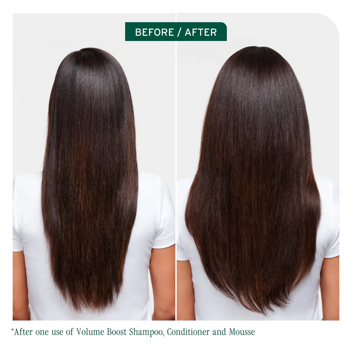 Biolage Volume Bloom Shampoo 400ml, view 3