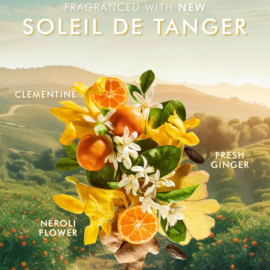 Moroccanoil Body Care Set Soleil De Tanger, view 6
