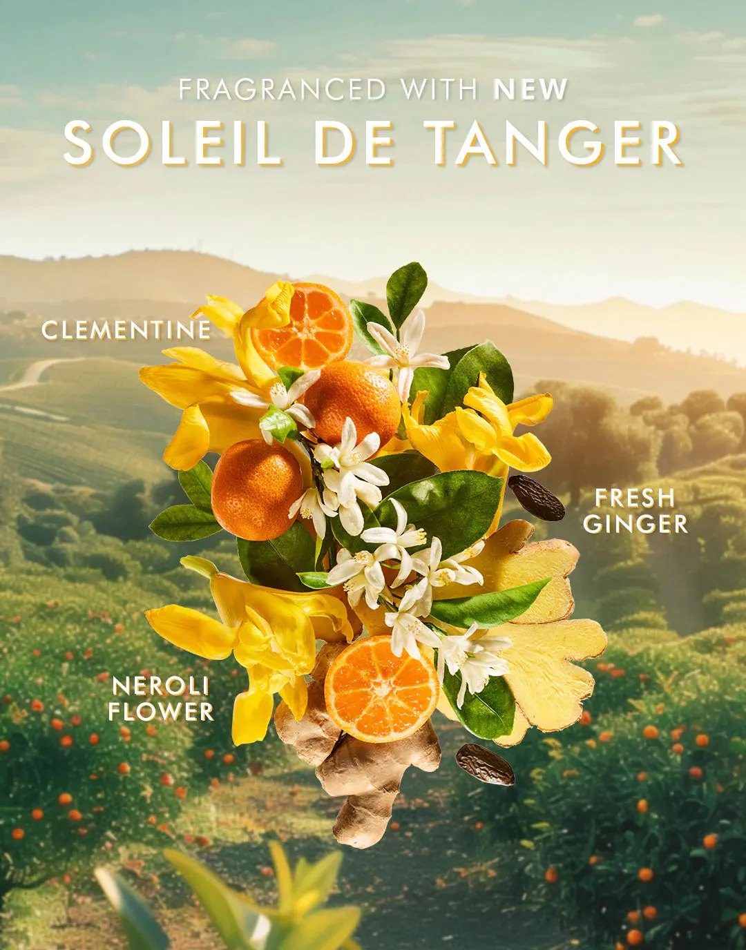 Moroccanoil Body Lotion Soleil De Tanger 360ml, view 5