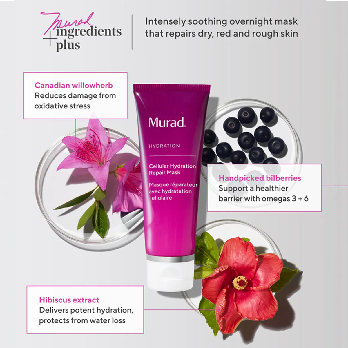 Murad Cellular Hydration Repair Mask 80ml, view 5
