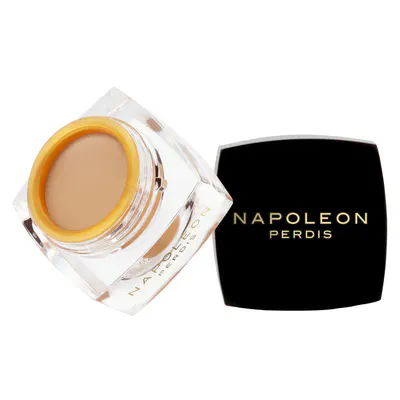 Napoleon Perdis The One Concealer 3.5ml - Light