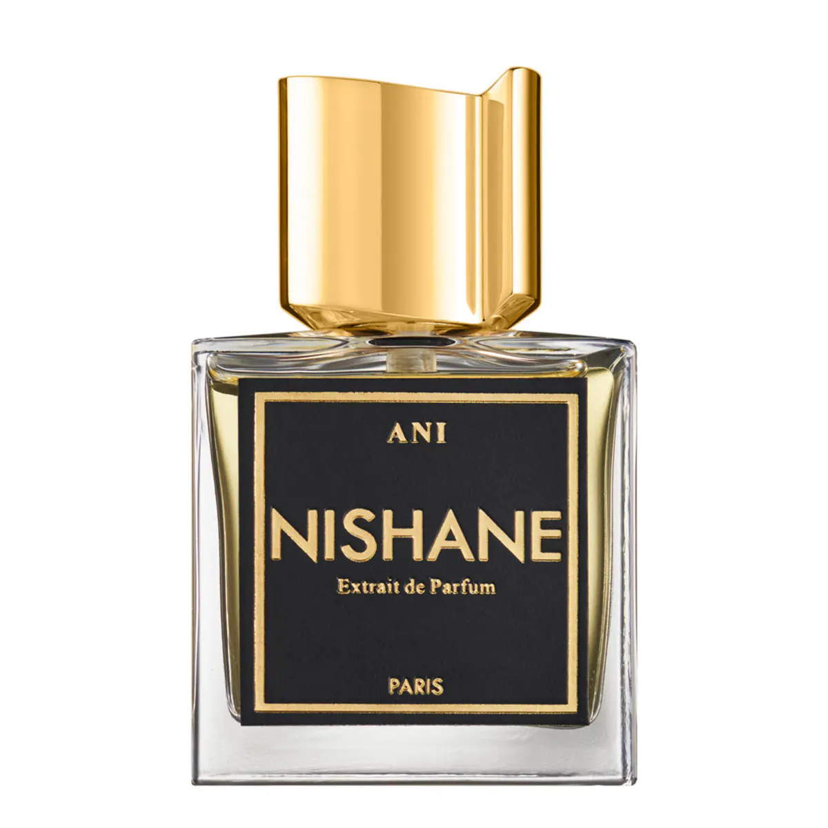 Nishane Ani Extrait De Parfum 100ml