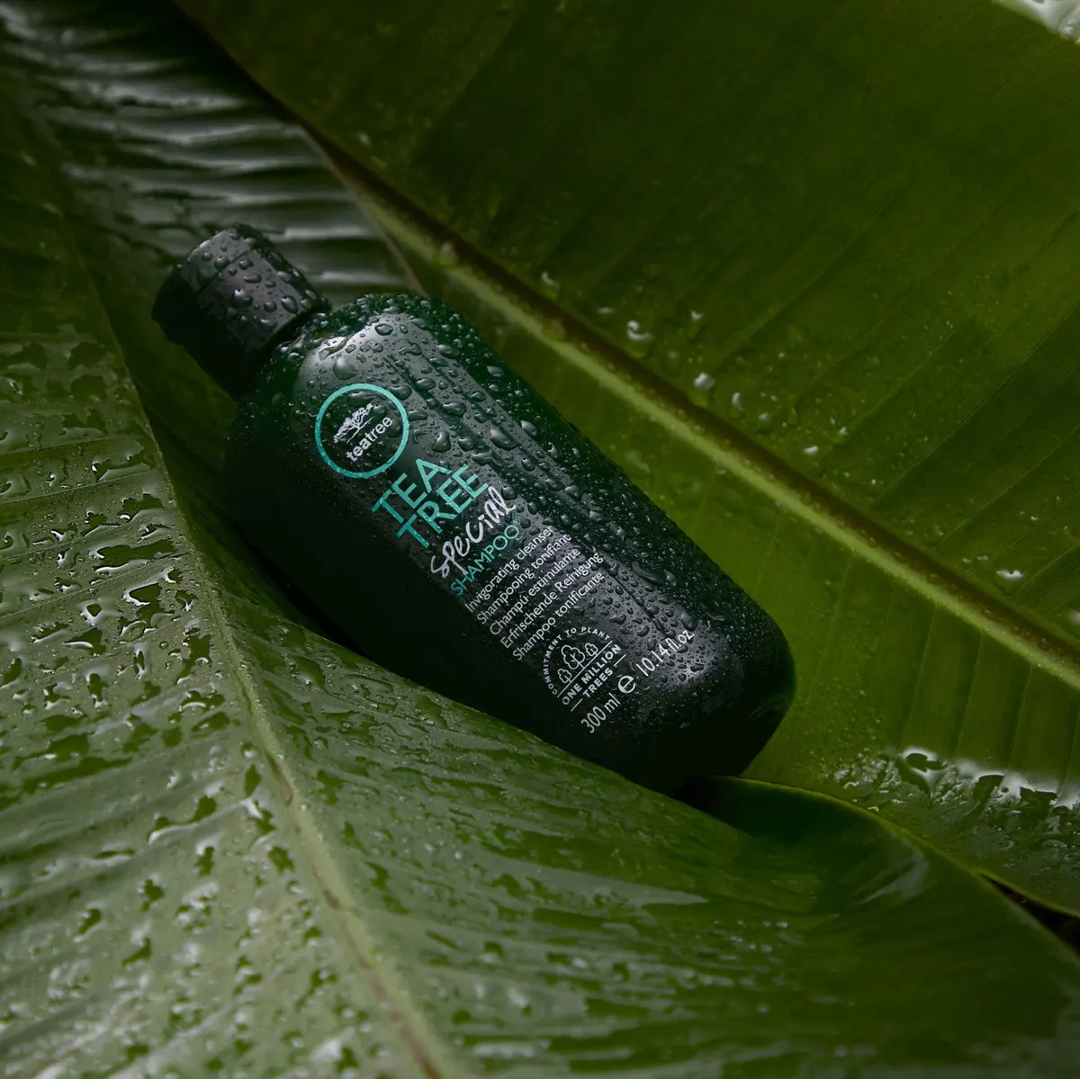 Paul Mitchell Tea Tree Special Shampoo 300ml, view 2