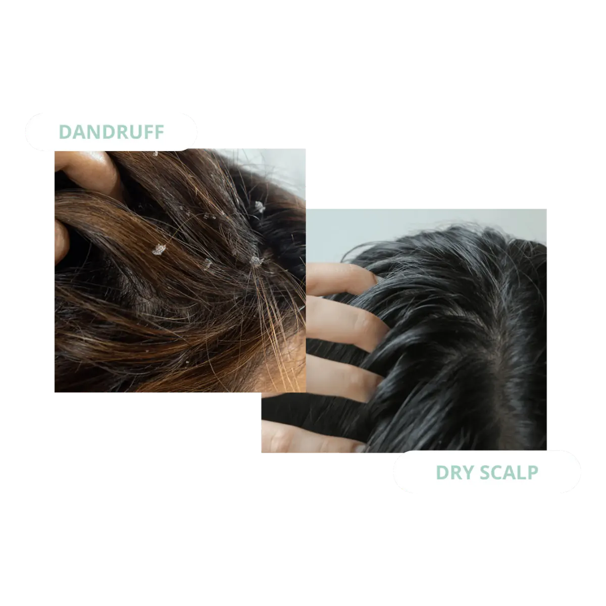 Pump Haircare Scalp Tonic 100ml, view 3