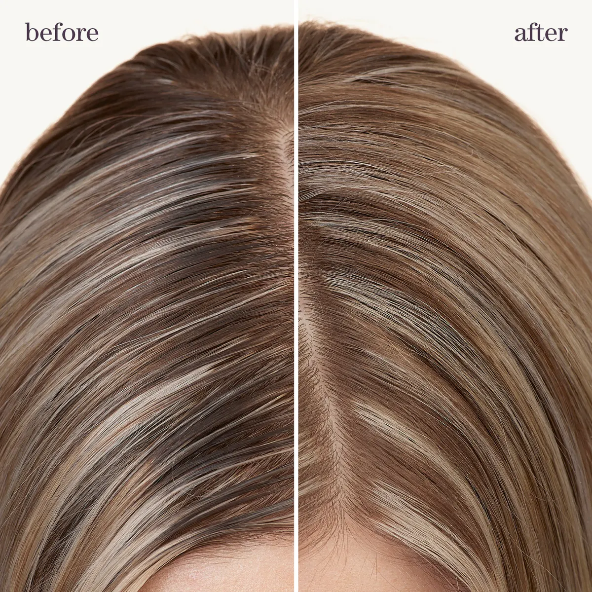 Pureology Style + Protect Refresh & Go Dry Shampoo 150g, view 5