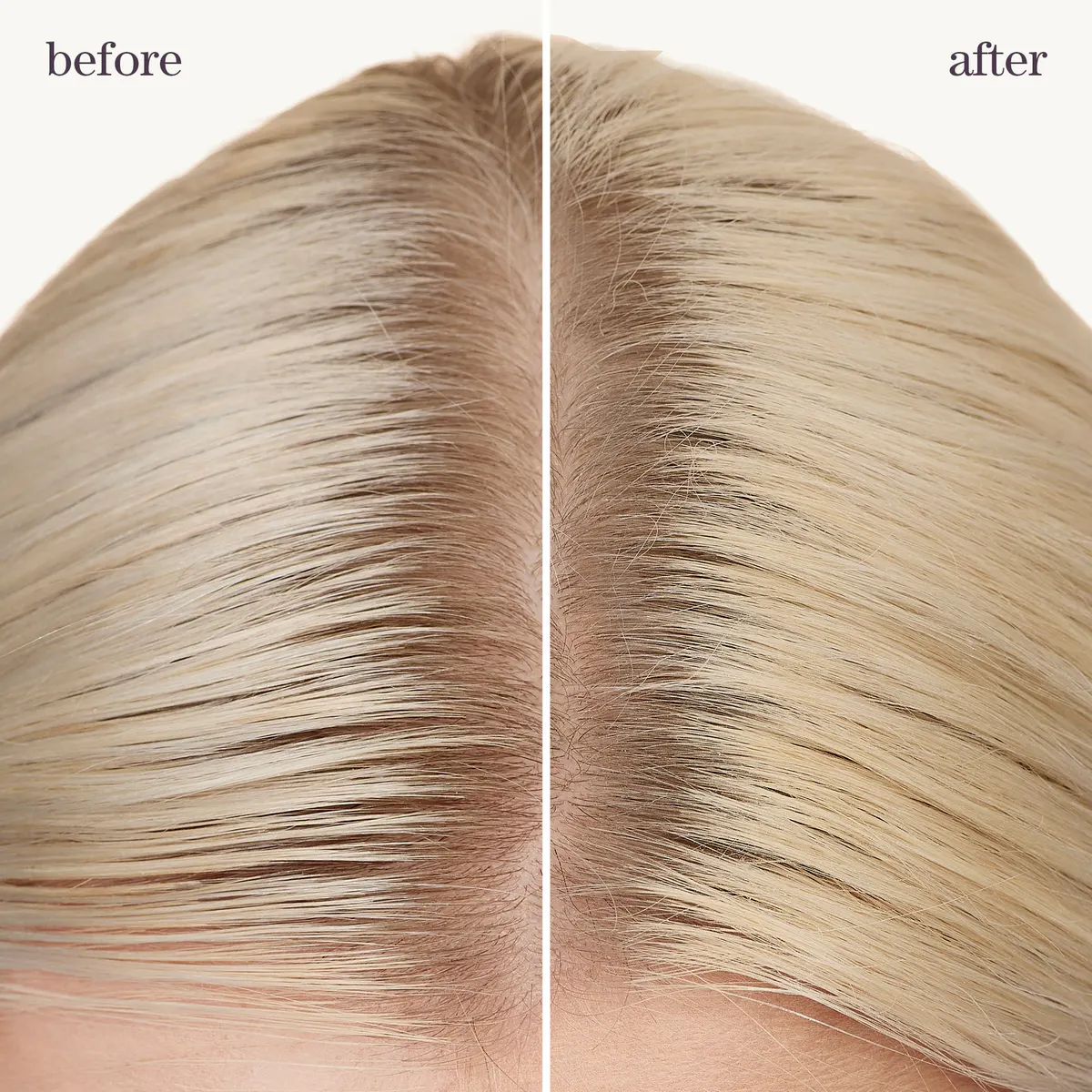 Pureology Style + Protect Refresh & Go Dry Shampoo 150g, view 6