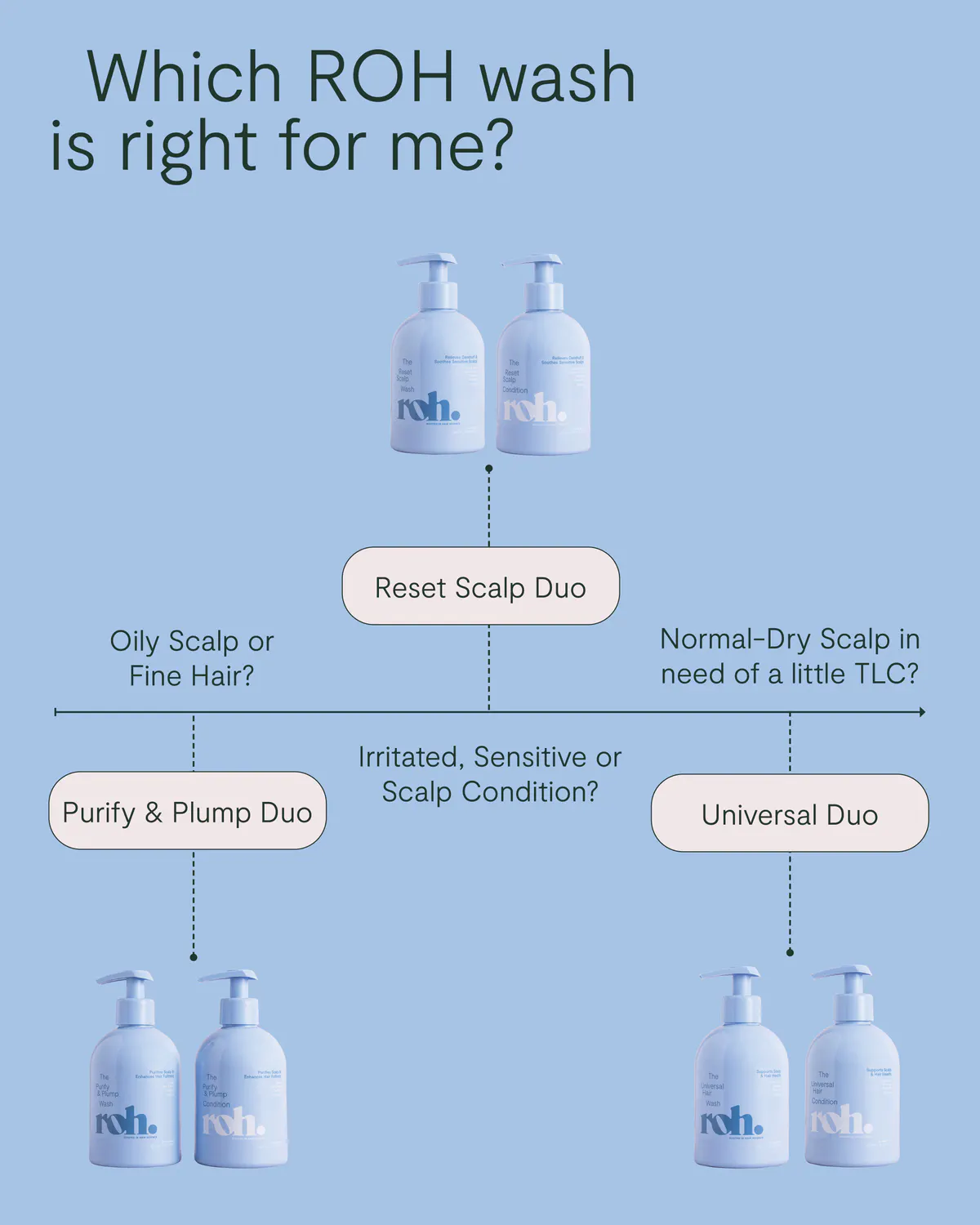 ROH Purify & Plump Condition 350ml, view 7
