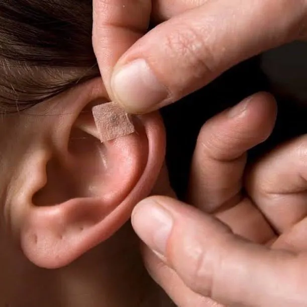 Seeded Ear Seeds 24k-Gold Magnetic Ear Seeds, view 4