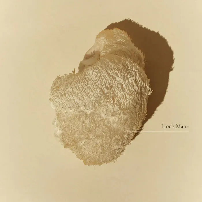 Superfeast Lion's Mane 100g, view 3