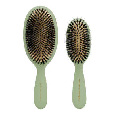the brush company the glide duo bundle