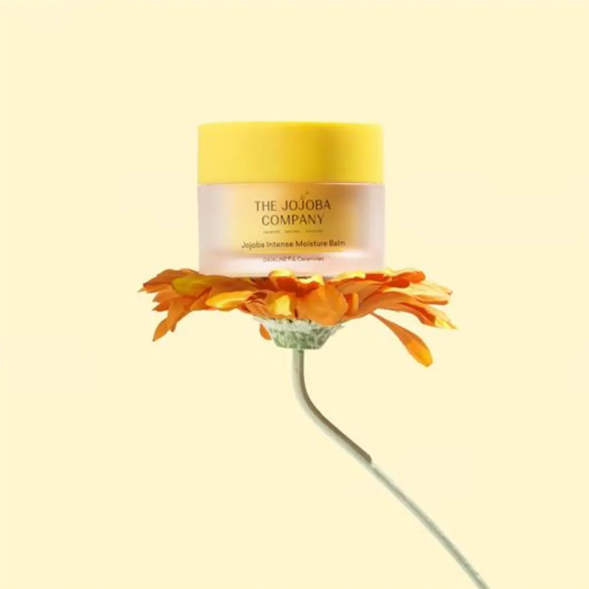 The Jojoba Company Intense Moisture Balm 50ml, view 4