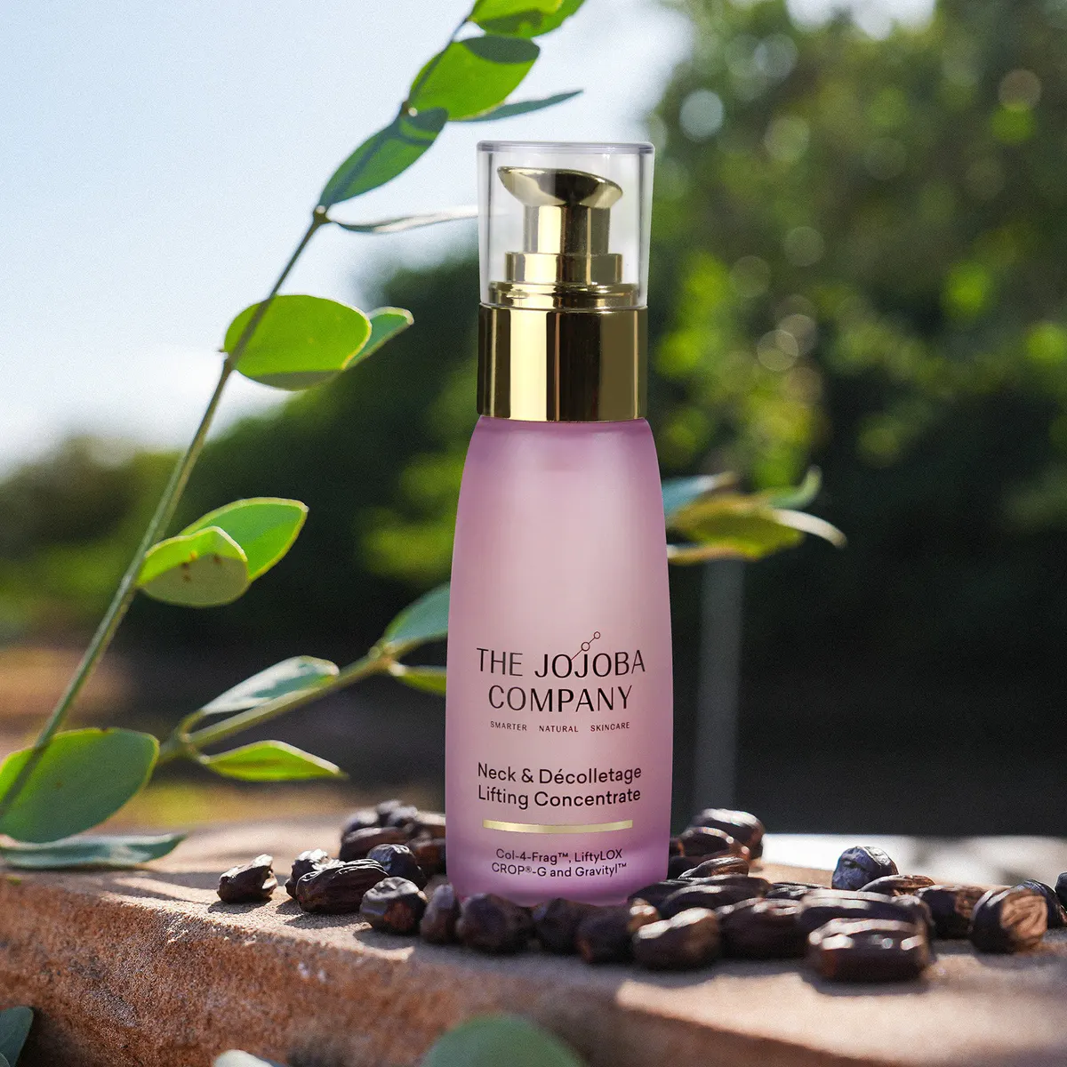 The Jojoba Company Neck & Décolletage Lifting Concentrate 50ml, view 2