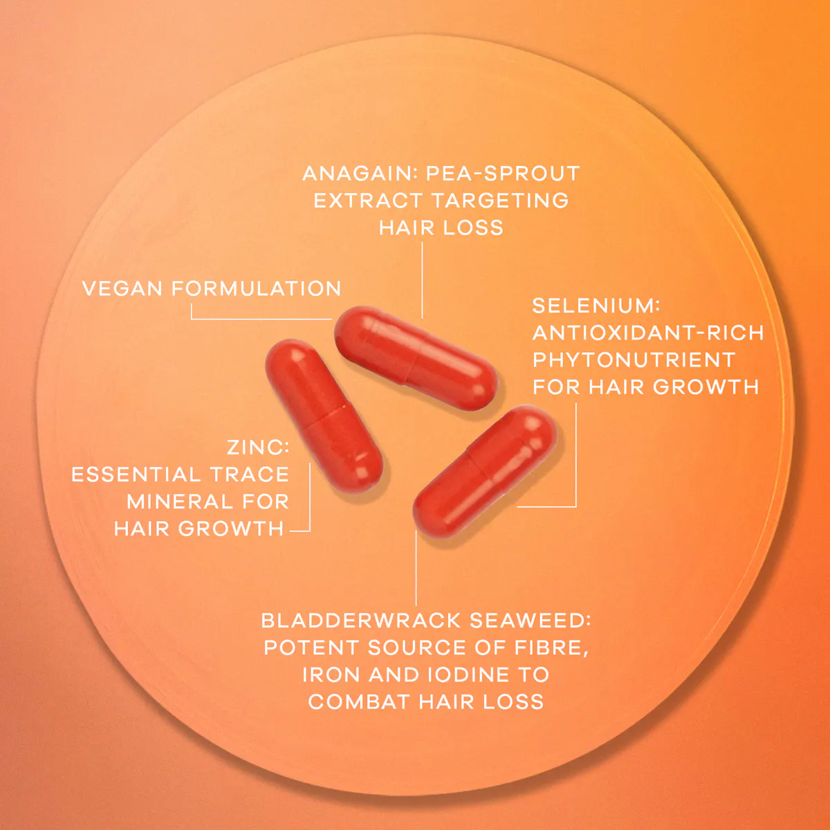 Vida Glow Hairology Advanced Repair - 30 Capsules, view 4