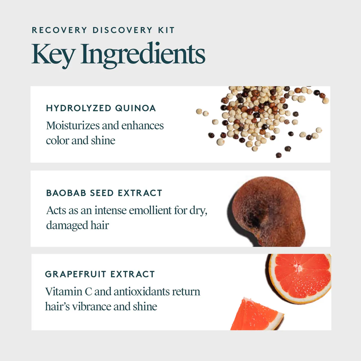 Virtue Recovery Discovery Bundle, view 5