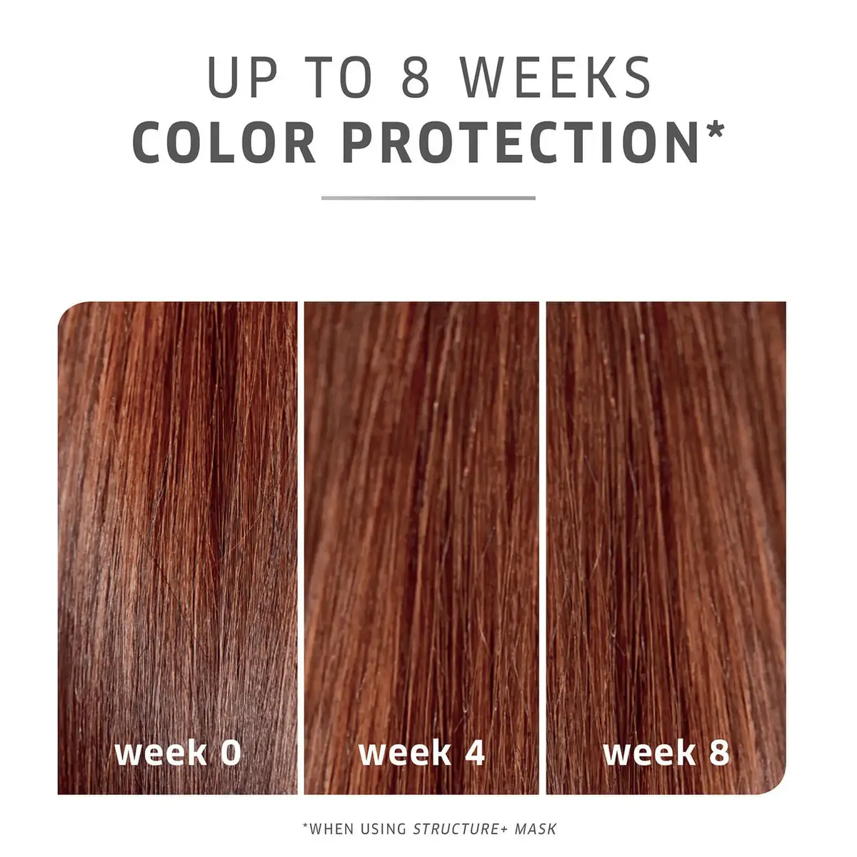 Wella Professionals ColorMotion+ Conditioner 1000ml, view 3